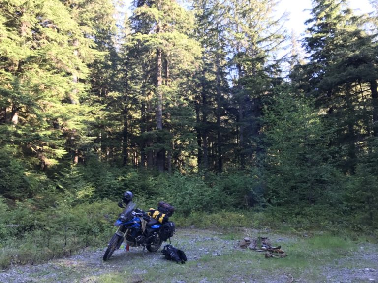 Dispersed camping near Quinault, WA