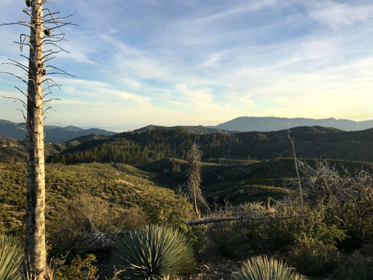 View from Mt Mooney, Angeles National Forest